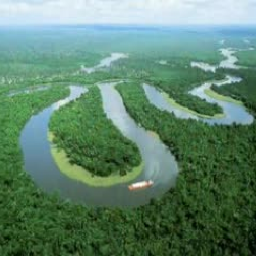 The Amazon River