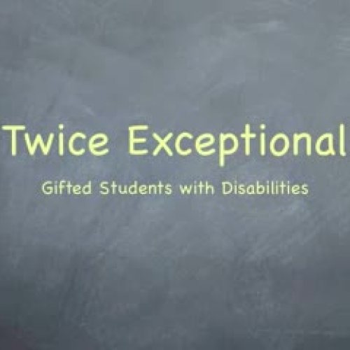 Twice Exceptional