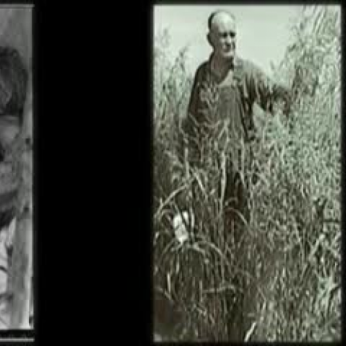 Dust Bowl /Karen Hesse