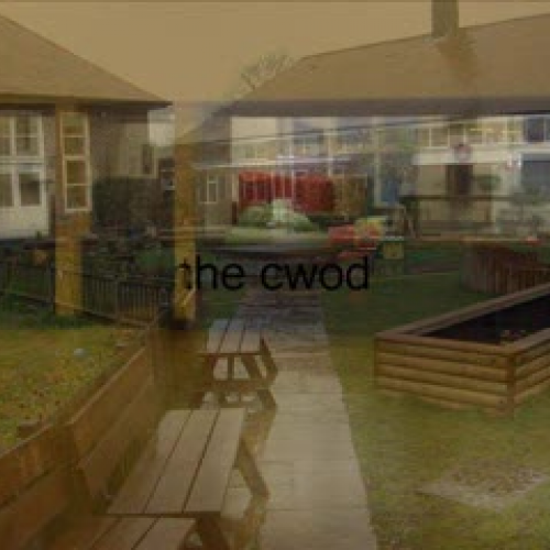 Year 1's Photo Stories