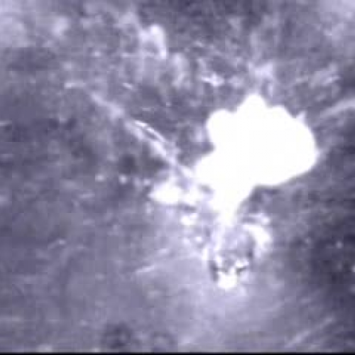 EDIT 202 Sample Video