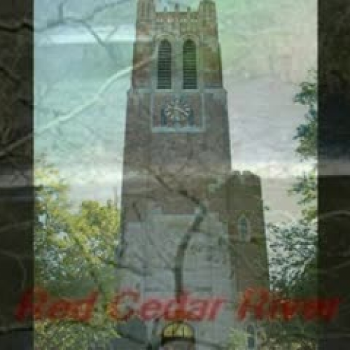 TE 407 - Community Story