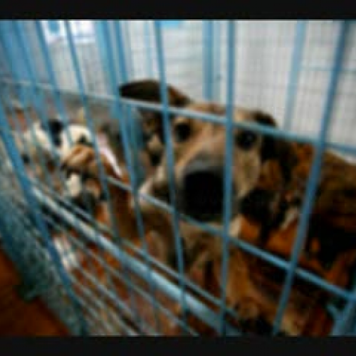 PSA for Intro to Education and Technology