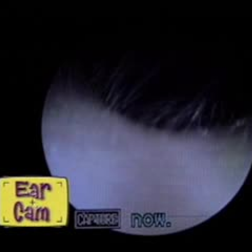 EDIT 202 Sample Video