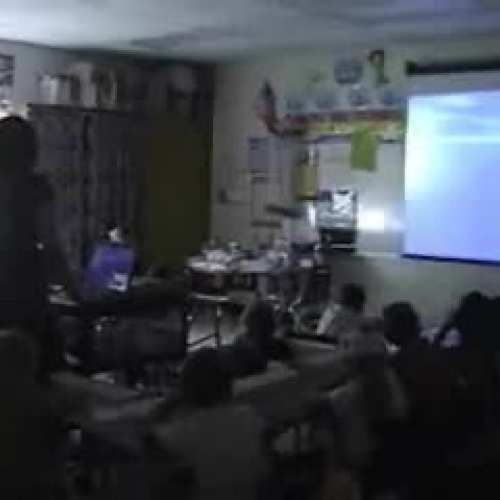 Butterfly Life Cycle