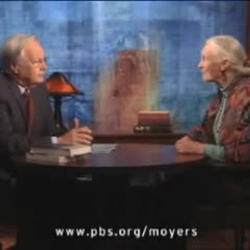 Jane Goodall PBS part 1
