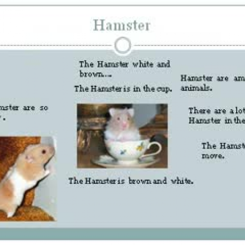 Animal Powerpoint Project