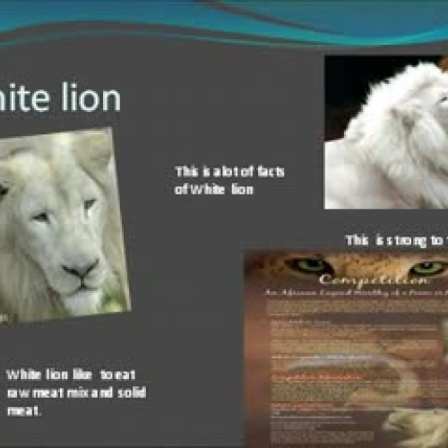 White Lion Animal Project