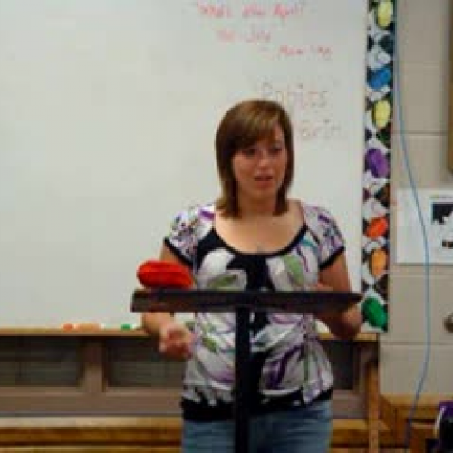 Allison Sulivant Speech #3