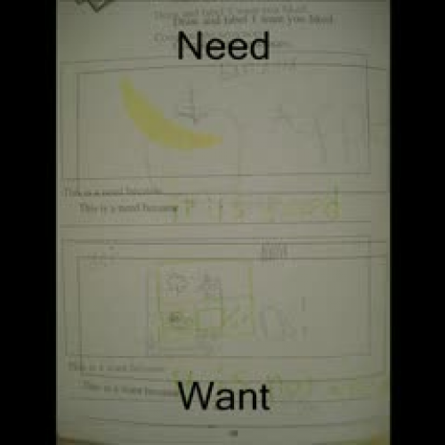 Needs and Wants