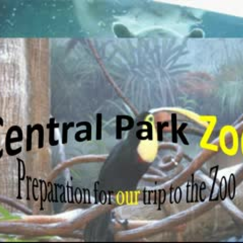 Central Park Zoo