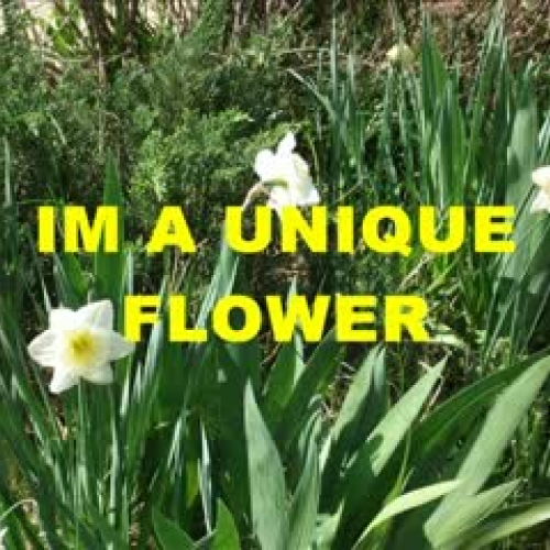 I'm a Unique Flower