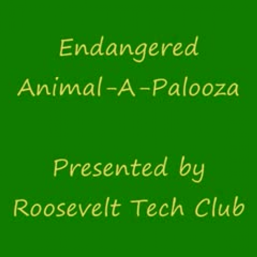 Endangered Animal-A-Palooza