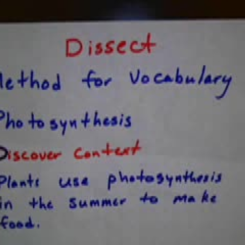 DISSECT Vocabulary SIOP