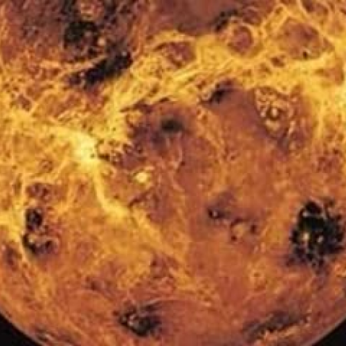 Venus