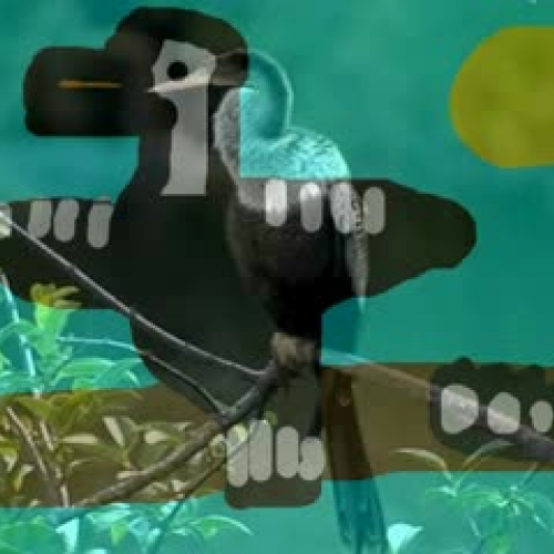 Anhinga by Ethan S. and Ethan C.