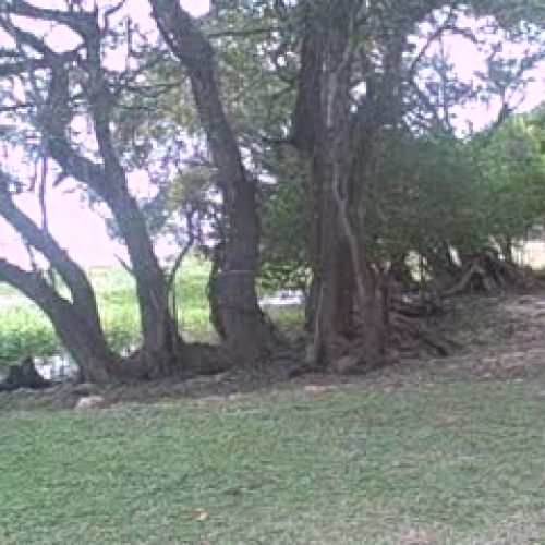 Test Private Video Try TWO