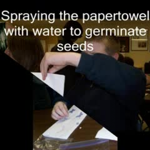 Justin's hydroponics photostory