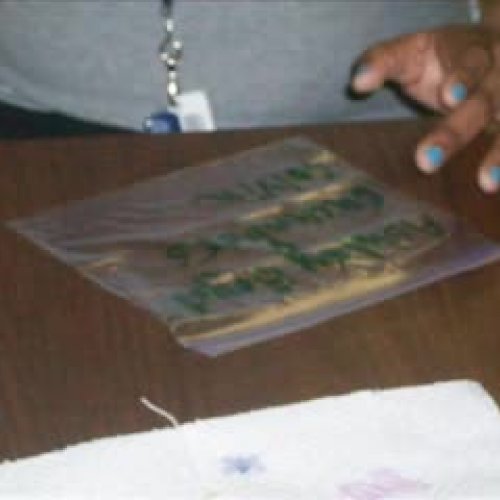 Hydroponics Slideshow