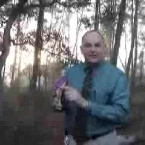 Fireflies-A booktalk with Mr. Deen