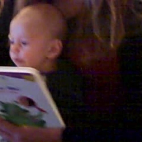 Early Childhood and Reading