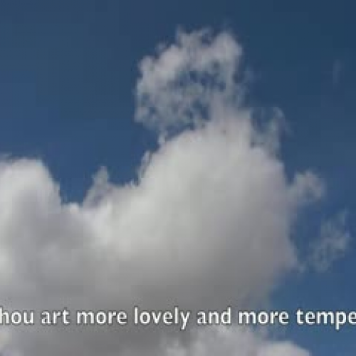 Video Technology Project #1