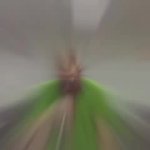 CRCT Rap 2010 by Matt Garwood