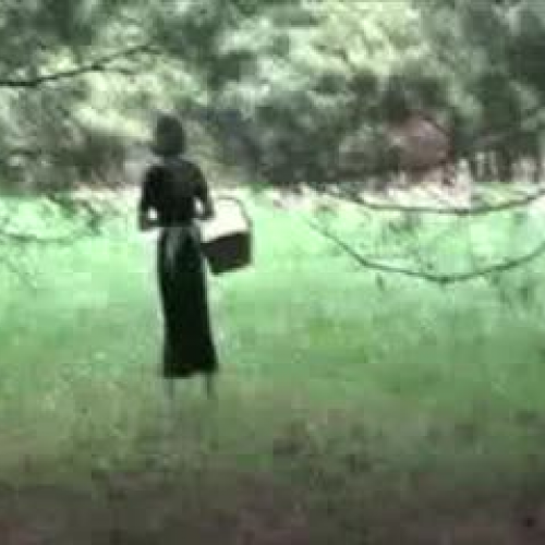 The Binnacle Boy Trailer