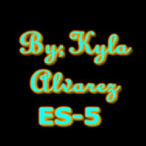 Endangered Birds Of Prey, Env. Sci. Project