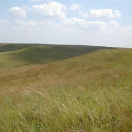 Little House on the Prairie Chapter 25