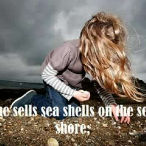 A Tounge Twister: She Sells Sea Shells