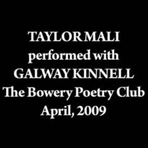 I'll Fight You for the Library