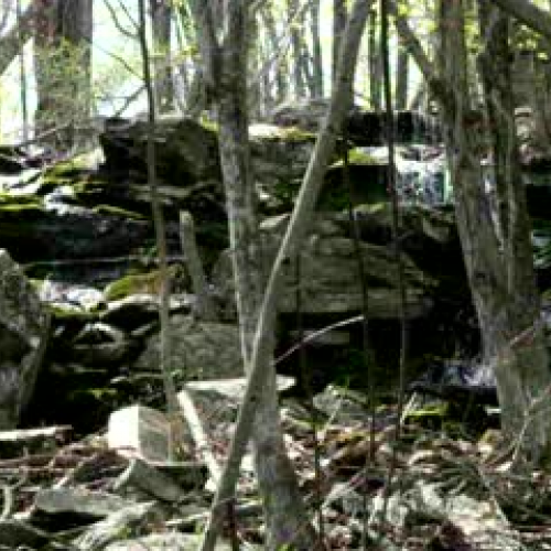 Exploring Cascades Park