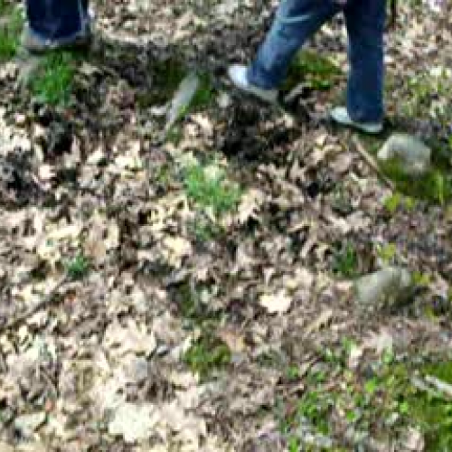 Climbing the Cascades