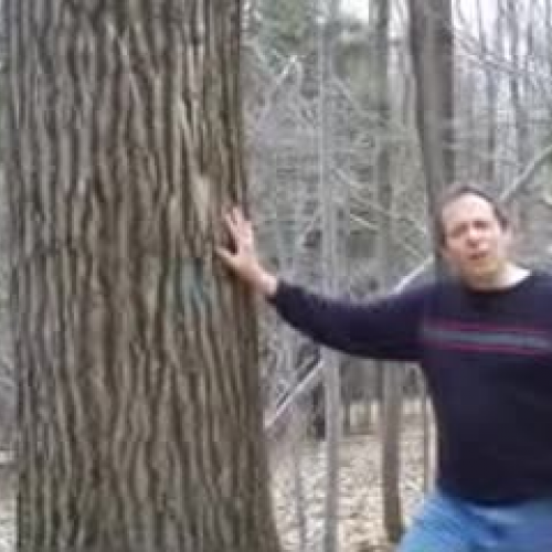 Effective Environment in Music Room