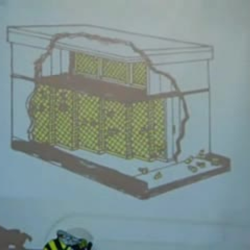 "The Story of the Honeybee"