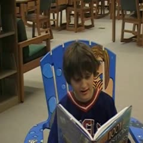 Celebrating School Libraries