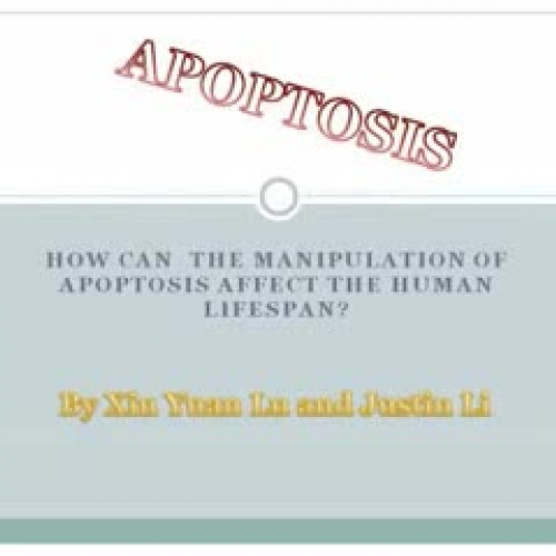 Apoptosis