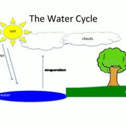 The Water Cycle