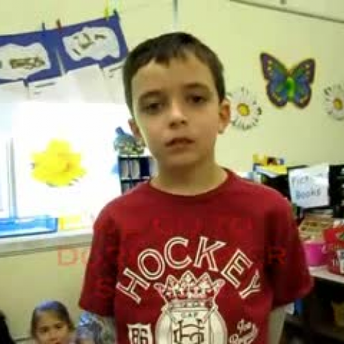 Our Video Pal Exchange