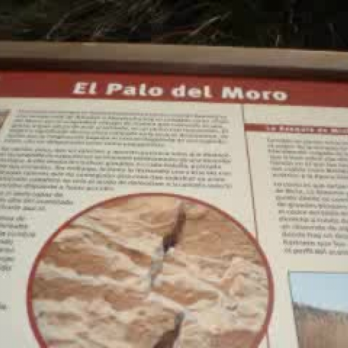 Semana de la naturaleza