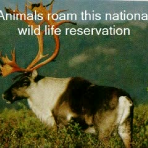 ANWR Awareness