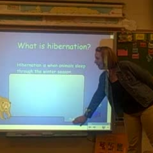 SMART Exemplary Video