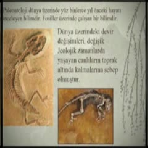 Paleontolog Kimdir
