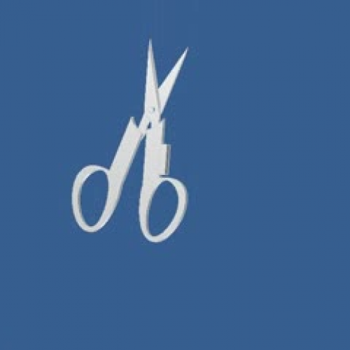 scissors 1