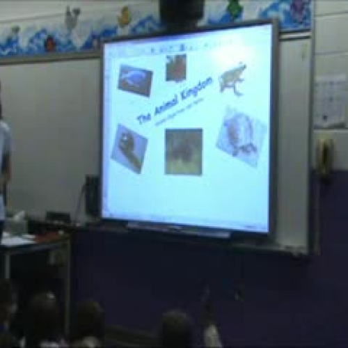 Animal Kingdom SMART