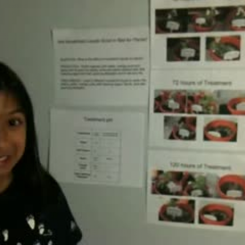 Mridula Science Fair