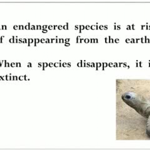Endangered Species
