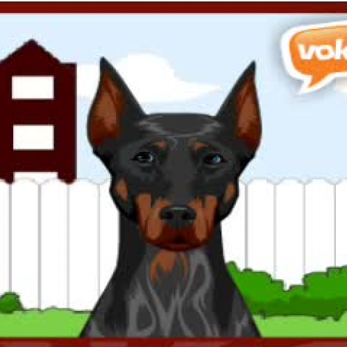 Wednesday Book Review