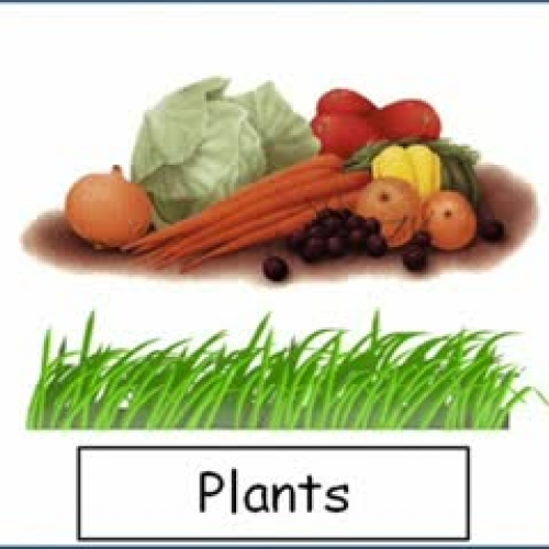 EDEL 522 Webquest What to do